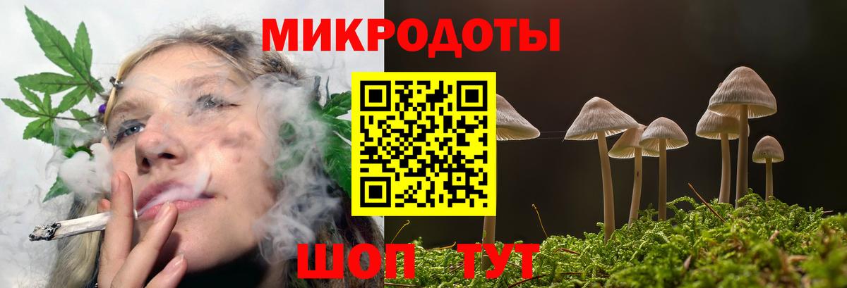 Магнитогорск  Галлюциногенные грибы Psilocybine cubensis  где найти   Вход с VPN 